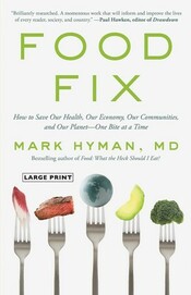 Food Fix cover